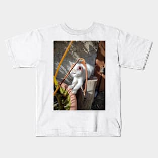 Little curious cat Kids T-Shirt